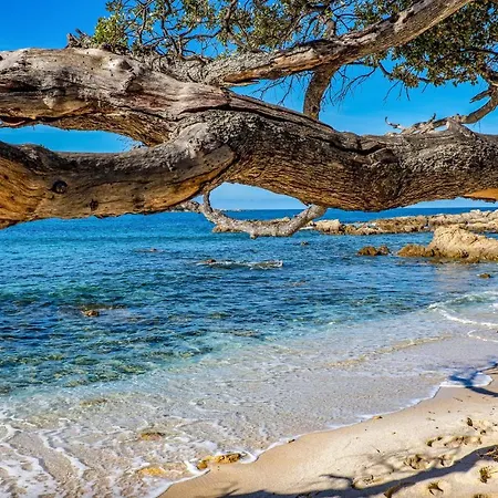 Cozy In Coti-chiavari Semesterbostad *