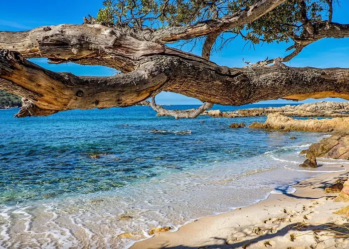 Cozy In Coti-chiavari 度假居 *